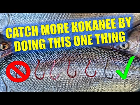 Видео: Приземлитесь, больше кокани!!! [5 лучших крюков кокани]