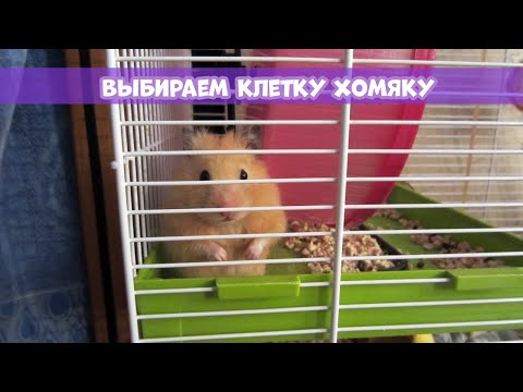Видео: КАК ВЫБРАТЬ КЛЕТКУ ХОМЯКУ || Примеры клеток