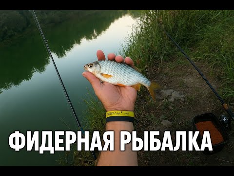 Видео: Фидерная рыбалка в Германии: с обеда до ночи, клюют даже бычки.