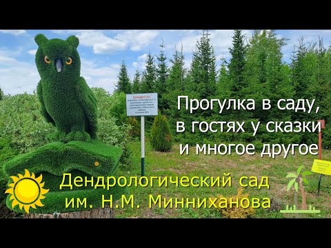Видео: Дендрологический сад им. Н.М. Минниханова/Татарстан,п.Сабинский Лесхоз 2023