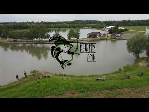 Видео: Рыбин Гуд с высоты птичьего полета