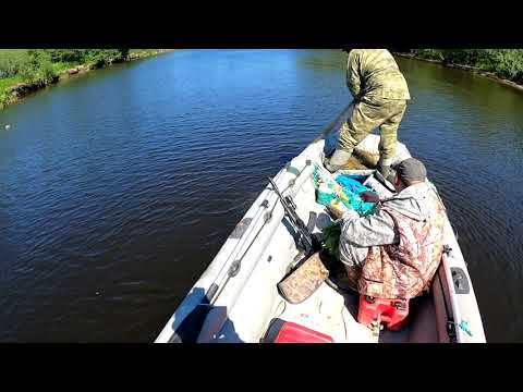 Видео: Хитрый ход,теперь будем знать!!!