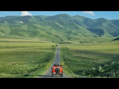 Видео: 🧡ТигрТанк на водопадах