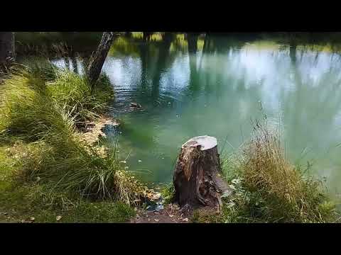 Видео: Родник "Голубая криница". Славгородский район, Могилёвская область.Spring "Blue spring". Slavgorod