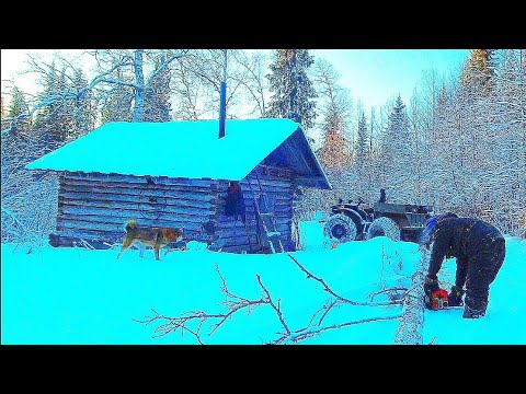 Видео: ПРОБИВАЕМСЯ К ИЗБЕ НА КАРАКАТЕ / ПОДГОТОВКА К НОЧЛЕГУ В ТАЙГЕ. ПИЛИМ ДРОВА. ХОРОШО ЧТО ПЕЧКА ЦЕЛАЯ.