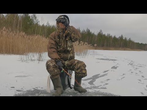 Видео: На что ловить ЩУКУ зимой
