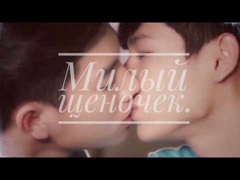 Видео: ЯОЙ•BLТайная любовь: Милый щеночек