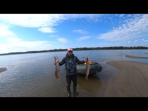 Видео: Это вообще законно???Злые щуки не давали отдохнуть||Рыбалка в Томской области #Kirasin54 #злыещуки