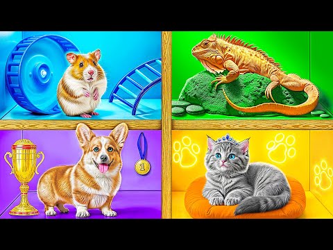 Видео: Строим Домики для Животных | Смешные Cитуации c Multi DO Smile