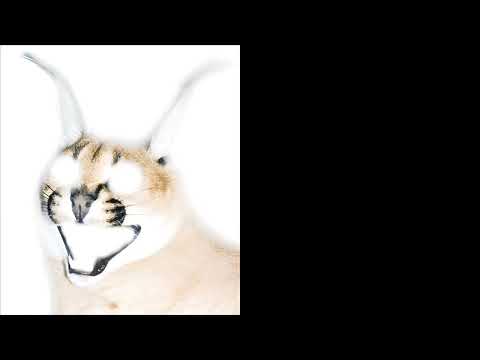 Видео: От Жутких до Радостных Лиц Шлёпы Шаблон