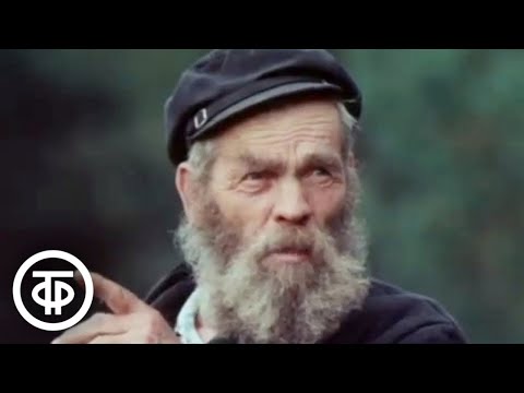 Видео: Летал медведь по поднебесью. Документальный фильм-размышление о красоте леса (1990)
