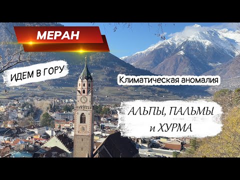 Видео: Меран, пальмы и хурма в Альпах. Променад на склоне горы!