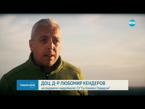 Видео: NOVA Темата на NOVA: „Първото плаване: Котва в Антарктида” (11.03.2023)