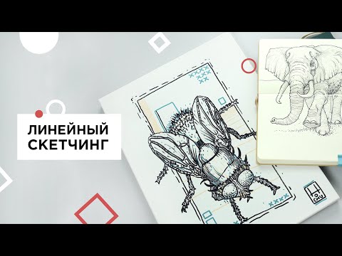 Видео: Урок СКЕТЧИНГА: рисуем муху, холст