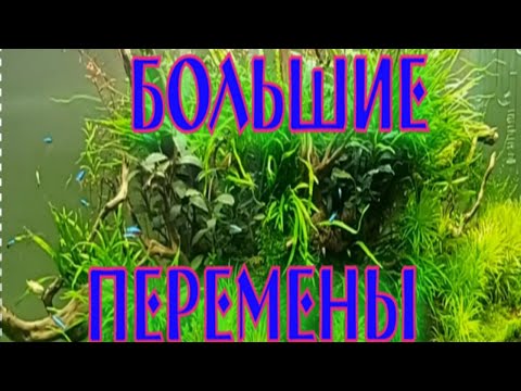 Видео: БОЛЬШИЕ ПЕРЕМЕНЫ в разводни. Подготавливаю новые аквариумы .