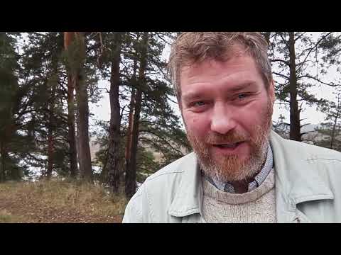 Видео: Золотая Крипта Бишкека и ГИТИС узбекам. 7 ноября. Кроншнеп вымер. Дания, мигранты, Руанда