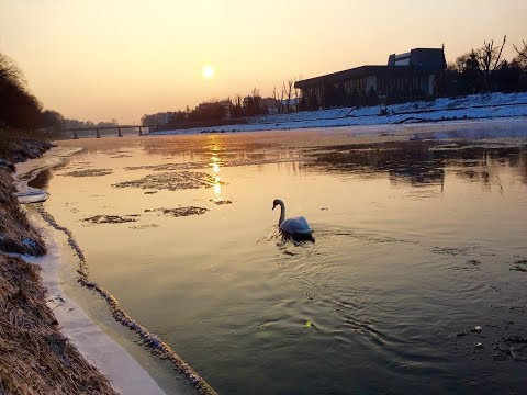 Видео: Ігор Білозір - Це не яблуні цвіт(Перший сніг)