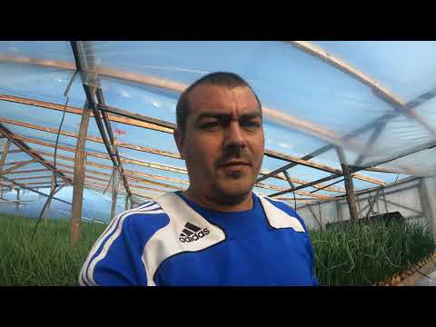 Видео: Как я делаю воздушную подушку в теплице.