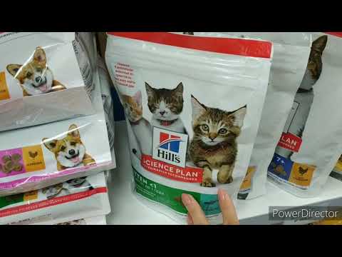 Видео: ОБЗОР ПОЛОЧЕК НЕМНОГО ASMR