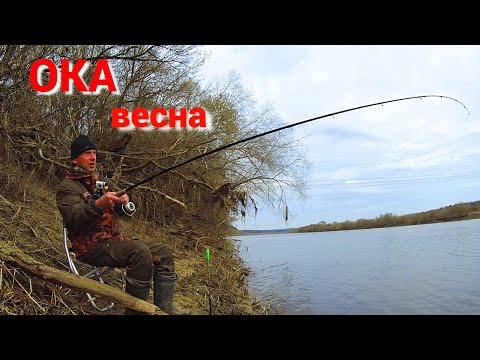 Видео: ПРОСТАЯ ДОНКА ловит всю рыбу. ЧЕРВЯК и САЛО . Рыбалка весной на Оке.