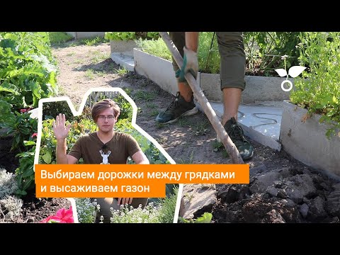 Видео: Выбираем дорожки между грядками и высаживаем газон