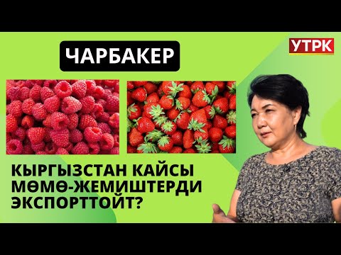 Видео: Кыргызстан кайсы мөмө-жемиштерди экспорттойт? // Чарбакер