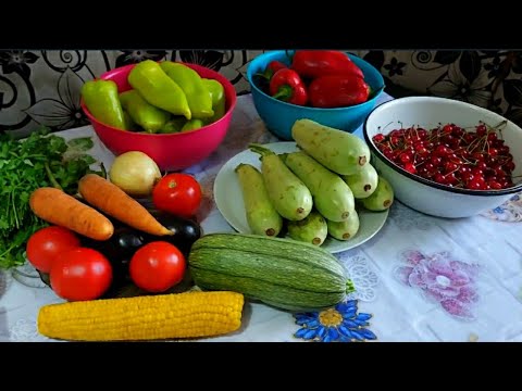 Видео: Сезонная Заморозка на Зиму 🥕 ОВОЩИ, ЯГОДА, ЗЕЛЕНЬ 🌽 ЗАГОТОВКИ на ЗИМУ