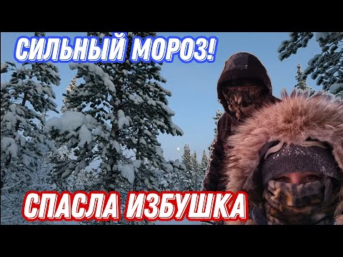 Видео: ЗАМЕРЗЛИ в СИЛЬНЫЙ мороз. СПАСЛА маленькая ИЗБУШКА.