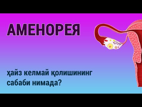 Видео: Аменорея: ҳайз келмаслигининг сабаби нимада?