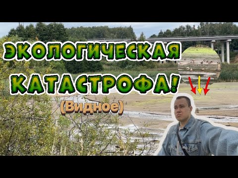 Видео: Экологическая катастрофа! Речка «Купелинка» обмелела…