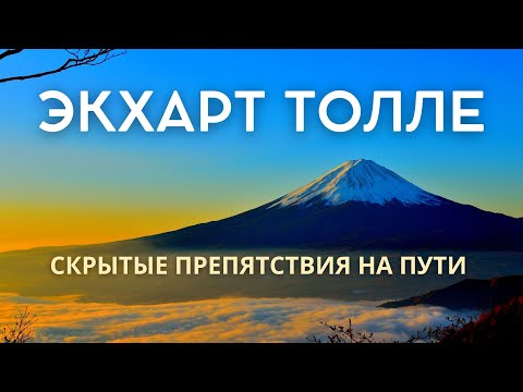 Видео: Скрытые препятствия на пути - ЭКХАРТ ТОЛЛЕ [Nikosho]