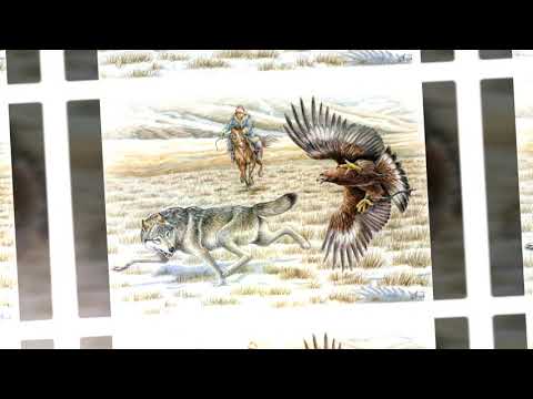 Видео: Айгүл Үлкенбаева -Қазанғаптың күй "Шыныаяқ"