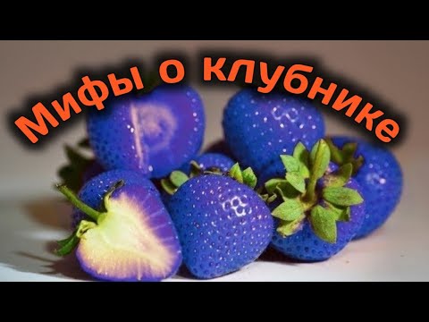 Видео: Мифы о клубнике. Безусая клубника, минеральные удобрения....