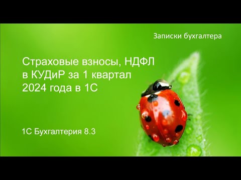 Видео: Страховые взносы, НДФЛ в КУДиР за 1 квартал 2024 года в 1С