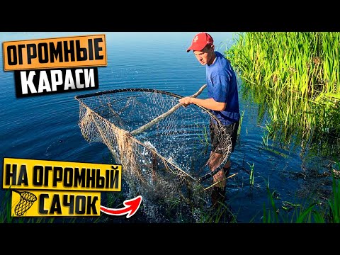 Видео: ОГРОМНЫЕ КАРАСИ на ОГРОМНЫЙ САЧОК! это ЛУЧШЕ чем ТАПТУХА!!!