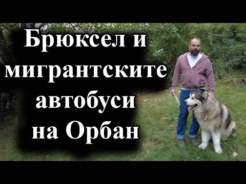 Видео: Белгия реагира остро на унгарската идея – 10.09.2024 г.