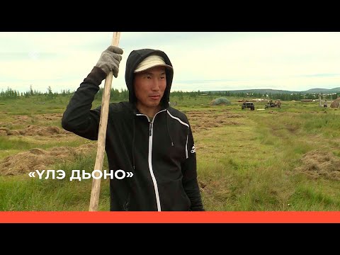 Видео: «Үлэ дьоно»  (02.10.22)