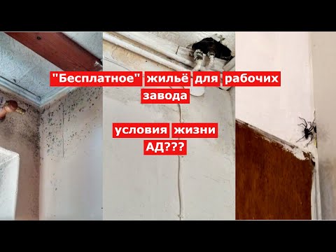 Видео: Хостелы в Польше для рабочих