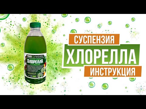 Видео: Водоросль Хлорелла применение в Садоводстве ✔️ Суспензия Хлорелла Для Цветов и Овощей