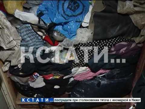 Видео: Прокладывать тоннель в квартиру «плюшкиных» пришлось судебным приставам