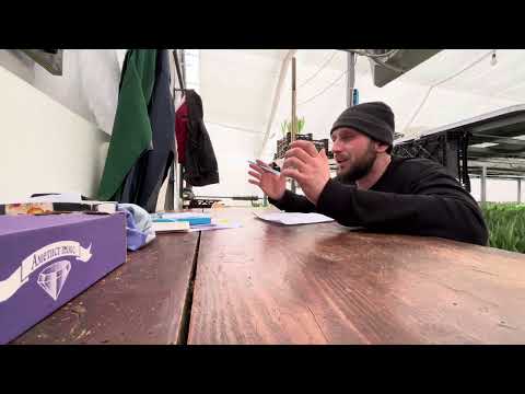 Видео: Результат вигонки до 14 лютого🌷Виход тюльпану в % для кожного сорту🌷 Теплиця Черкаси🏡