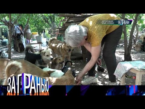 Видео: За гранью . Выпуск от 04.10.2025 - «Осторожно! Злые соседи! » Передачи НТВ