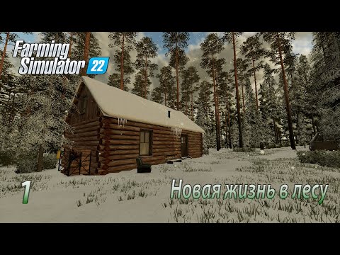 Видео: Farming Simulator 22 ► Новая жизнь в лесу ► #1