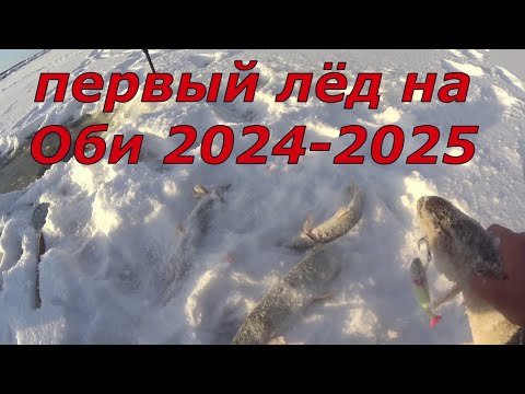 Видео: Первый лёд на Оби 2024-25. Щука есть.