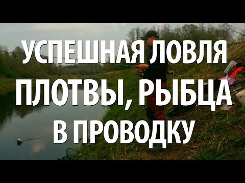 Видео: ПЛОТВА и РЫБЕЦ на ПОПЛАВОК. ЛОВЛЯ в ПРОВОДКУ на МАЛЫХ РЕКАХ с НОРМУНДОМ