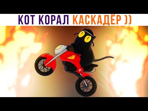 Видео: Комиксы. КОТ КОРАЛ КАСКАДЁР ))) | Мемозг 1156