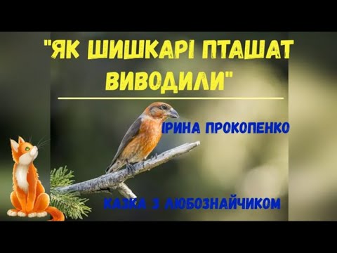 Видео: Казка Ірини Прокопенко "Як шишкарі пташат виводили"