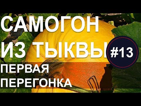 Видео: Как гнать самогон. Первая перегонка самогона из тыквы. Сахаристость тыквенной браги. Запах самогона