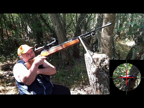 Видео: Лов на Гривяк с въздушна пушка ,,Hatsan,, WEST-135/22 кал. HD