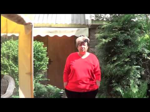 Видео: Лиственница. Как Правильно Посадить Лиственницу . Советы По Уходу За Лиственницей